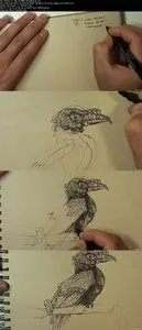 Foundation Patreon Term 10 - Dynamic Sketching: Organics