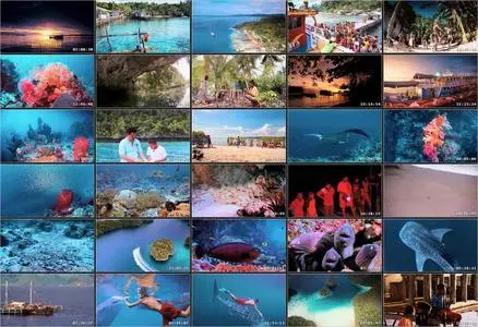 Journey to the South Pacific (2013)