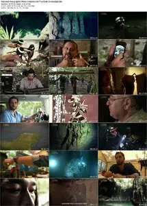 Maya Underworld The Real Doomsday