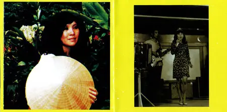 VA - Saigon Rock & Soul: Vietnamese Classic Tracks 1968-1974 (2012) [Re-Up]