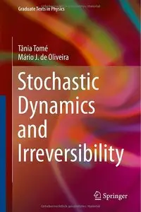 Stochastic Dynamics and Irreversibility