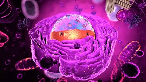 Biology 101: Understanding The Building Blocks Of Life