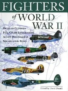 Fighters of World War II (Repost)
