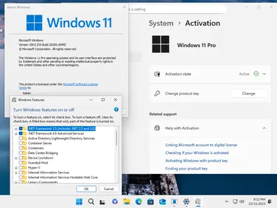 Windows 11 Pro 25H2 Build 26200.6899 (No TPM Required) Multilingual Preactivated October 2025