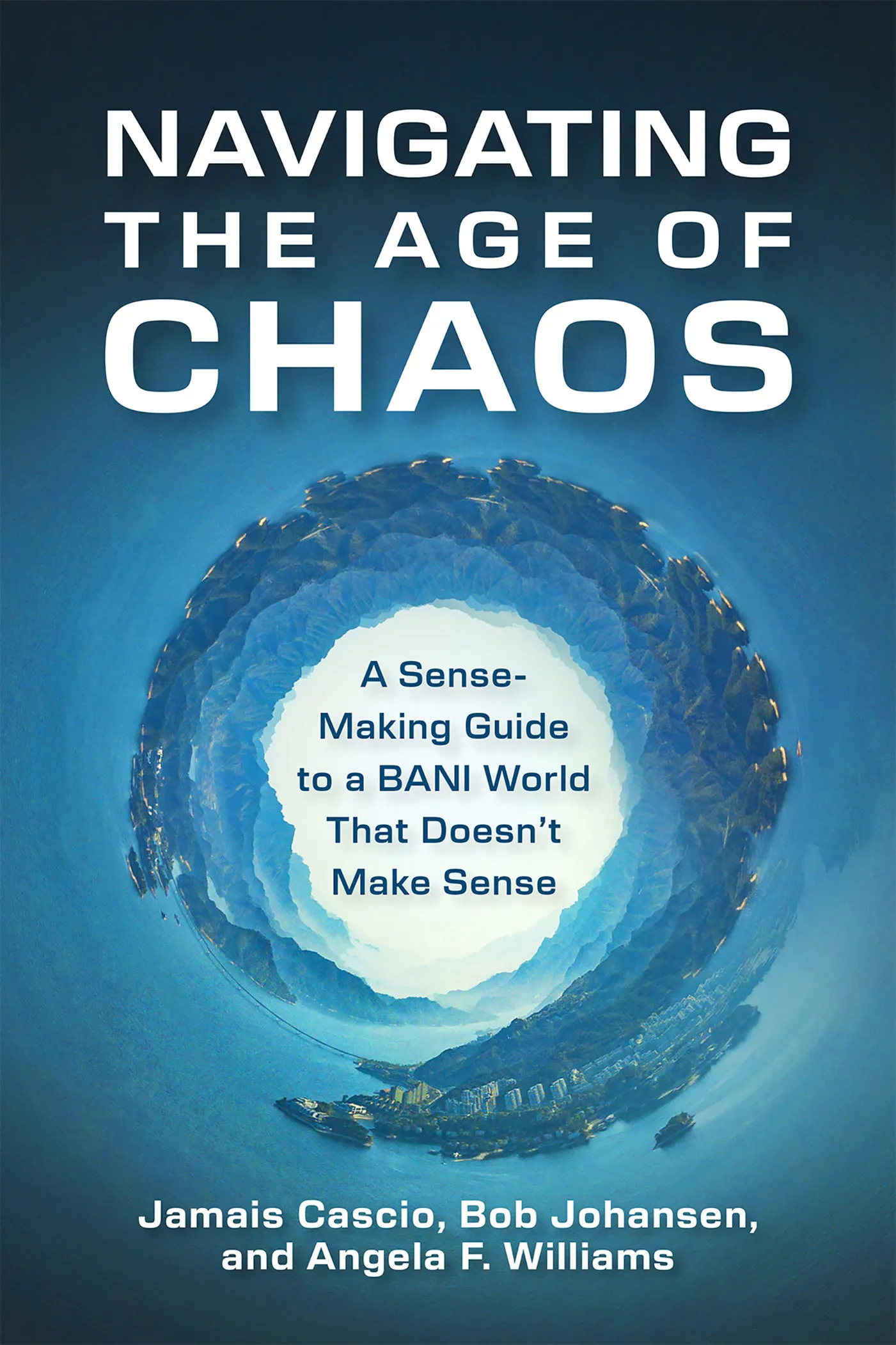 Navigating the Age of Chaos: A Sense-Making Guide to a BANI World That Doesn't Make Sense