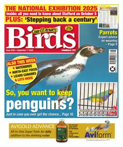 Cage & Aviary Birds - 17 September 2025