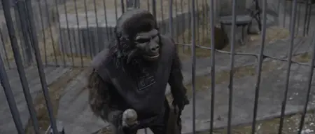 Planet of the Apes (1968)