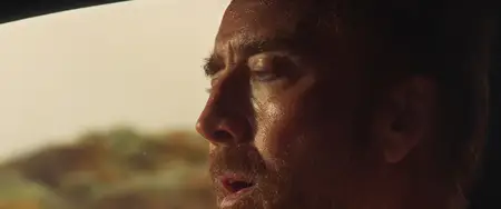 The Surfer (2024)