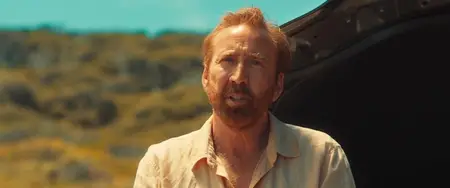 The Surfer (2024)