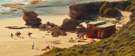 The Surfer (2024)