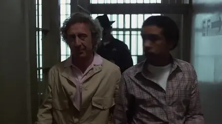 Stir Crazy (1980)