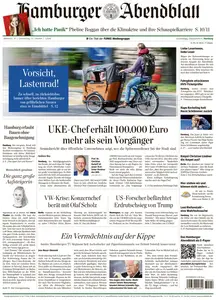 Hamburger Abendblatt  - 30 Oktober 2024