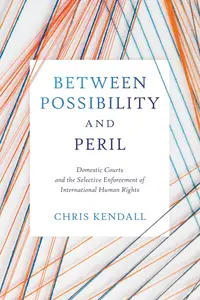 Between Possibility and Peril: Domestic Courts and the Selective Enforcement of International Human Rights