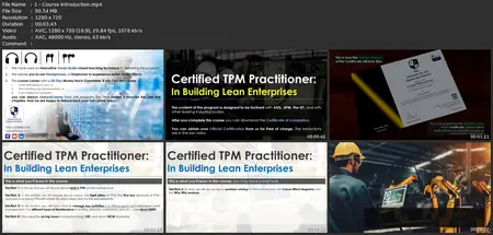 Certified Tpm Practitioner: In Building Lean Enterprises