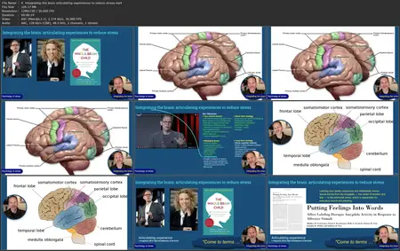 The New Science of Stress Management - Theory & Application
