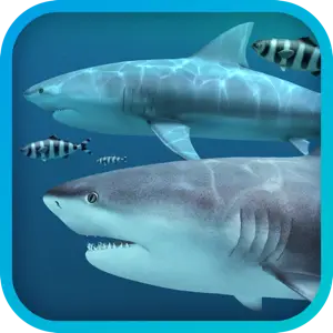 Sharks 3D 2.1.1