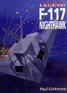 F-117 Nighthawk (Combat Legend)