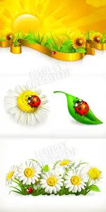 Summer nature