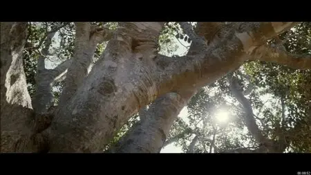 The Tree - by Julie Bertuccelli (2010)