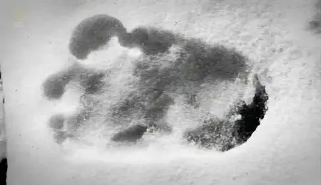 National Geographic - Hunt for the Abominable Snowman (2011)