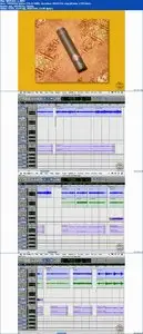 Total Training Acoustic Guitar Miking Technique (Repost)