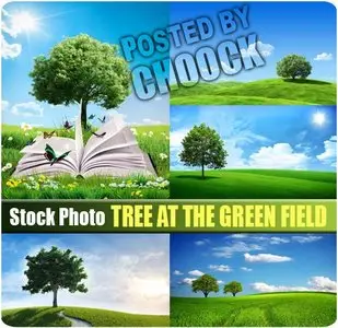 Tree at the green field - Stock Photo