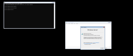 Windows Server, version 20H2 Build 19042.1165