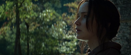 The Hunger Games: Mockingjay - Part 1 (2014)