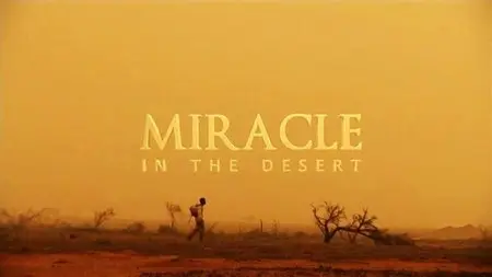 ABC - Miracle In The Desert (2013)
