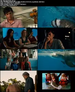 Dolphin Tale (2011)
