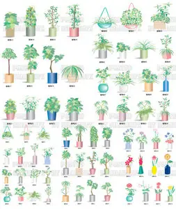 Stock Vector - Plant Flowers
