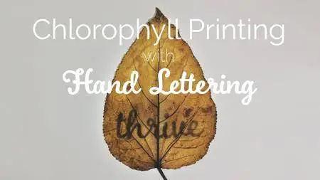 Chlorophyll Printing with Hand Lettering: an alternative photography mashup