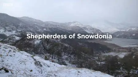 BBC - Snowdonia Shepherdess (2018)