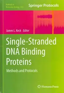 Single-Stranded DNA Binding Proteins: Methods and Protocols (Methods in Molecular Biology)