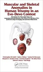 Muscular and Skeletal Anomalies in Human Trisomy in an Evo-Devo Context