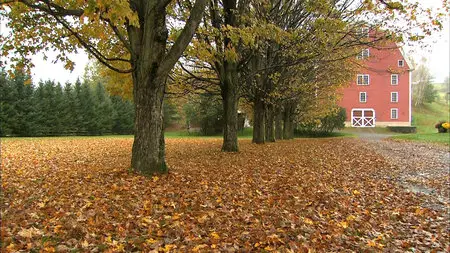 Living Landscapes: Fall in New England