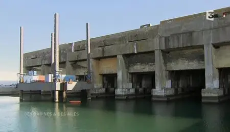 (Fr3) Des racines et des ailes : De La Rochelle au Marais poitevin (2012)