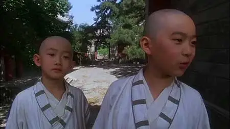 Tai Chi Master (1993)