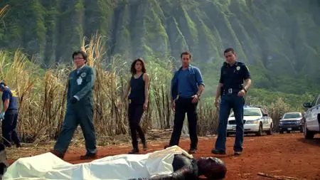 Hawaii Five-0 S03E08