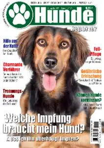 Hunde-Reporter – 31 Dezember 2021