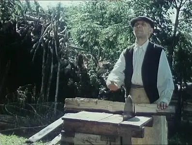 Na samote u lesa / Secluded, Near Woods (1976) [Repost]