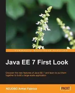 Java EE 7 First Look (Repost)