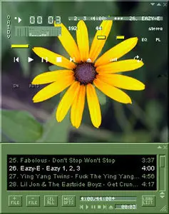 Flower - Winamp Skin