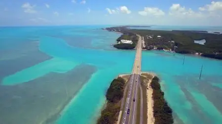 Curiosity TV - Bright Now: The Road to Florida (2020)