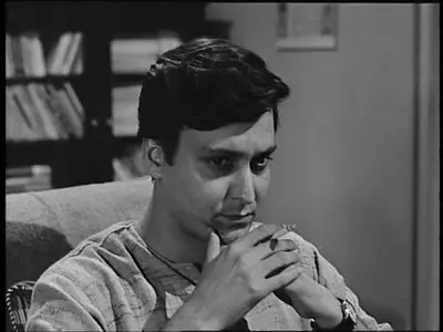 The Satyajit Ray Collection Vol.2 (1965-1978)