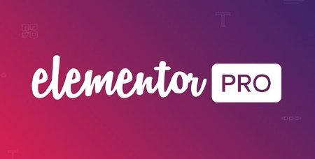 Elementor Pro v3.9.0 - The Most Advanced Website Builder Plugin NULLED