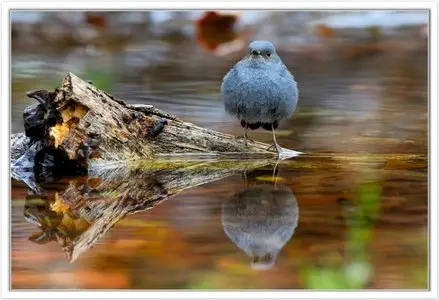 World In Photo 239