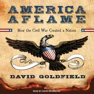 America Aflame: How the Civil War Created a Nation (Audiobook) (repost)