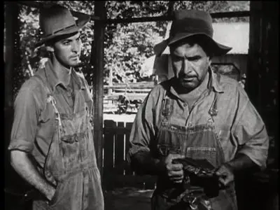 The Southerner (1945)