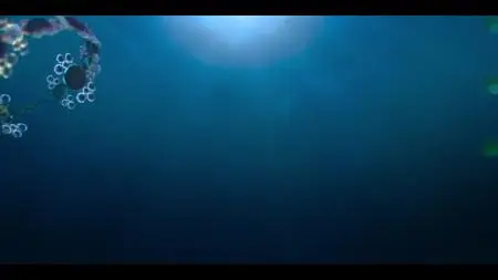 Dive Club S01E10